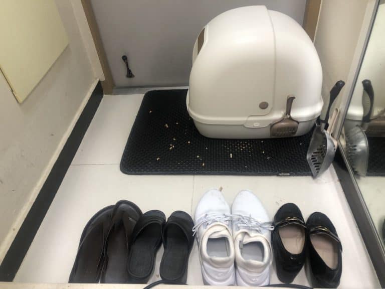 6 Real Tips to Stop Cat Litter Tracking (I Tried Them All!)