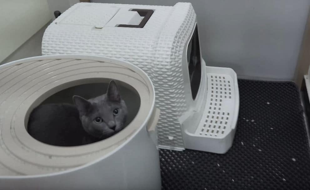 Litter boxes of different types.