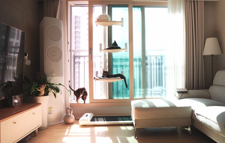 How to Entertain & Play With Your Cat(s) in an Apartment