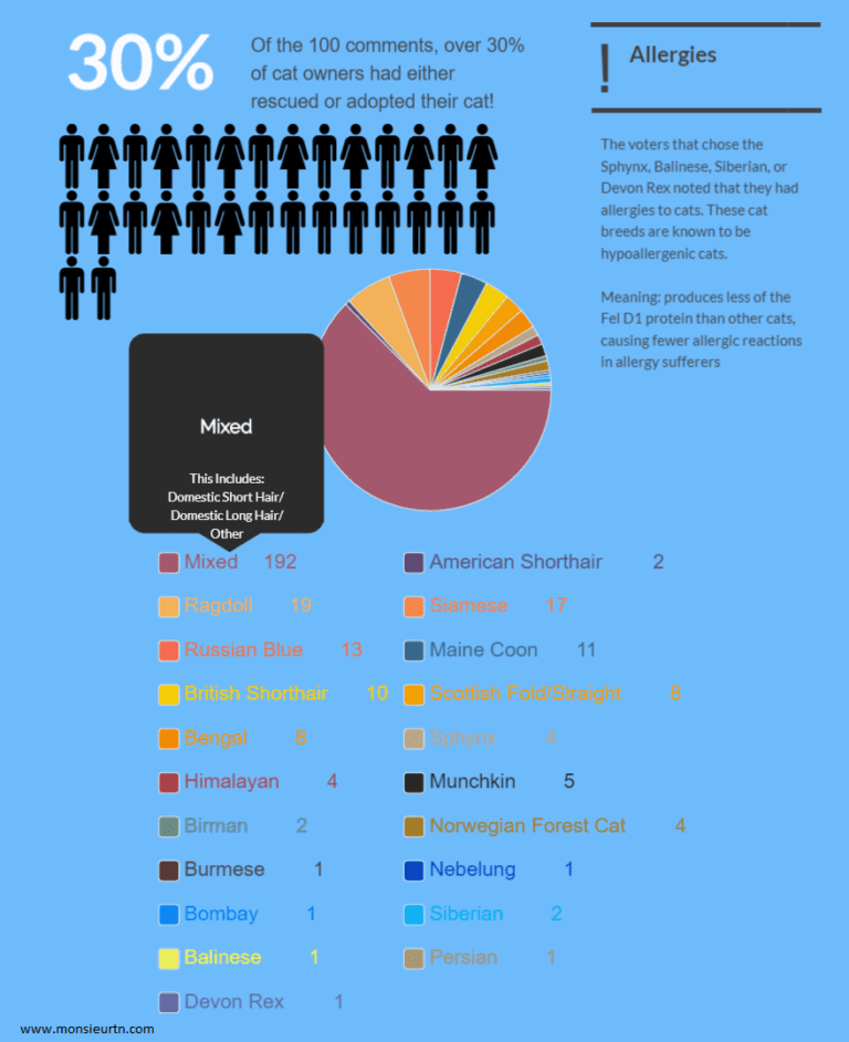 Most Popular Indoor Cat Breeds (With Real Statistics!)