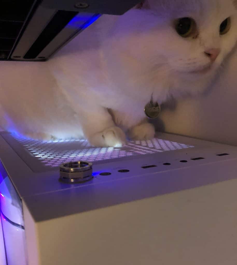 Cat proof computer discount desk