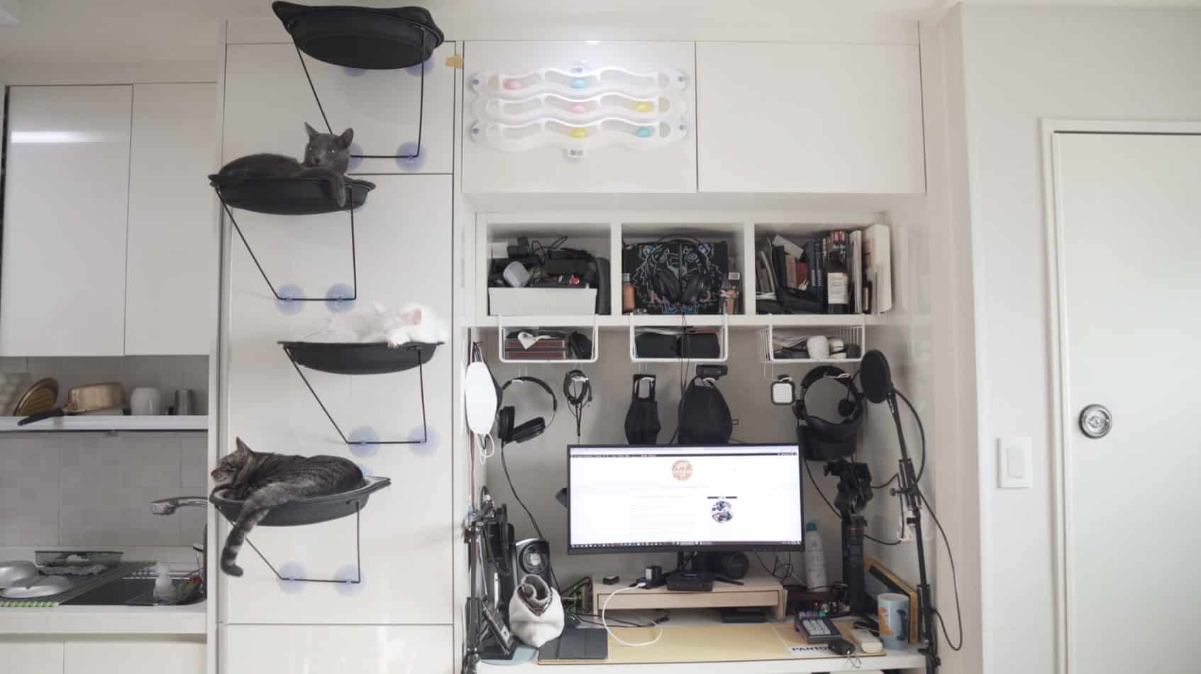 How to Protect Your Furniture From Your Cats (With Pictures!) monsieurtn