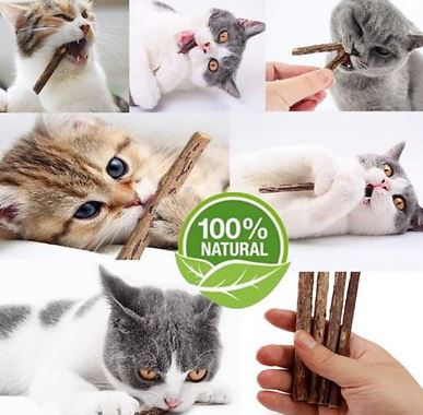 Natural Matatabi Cat Sticks