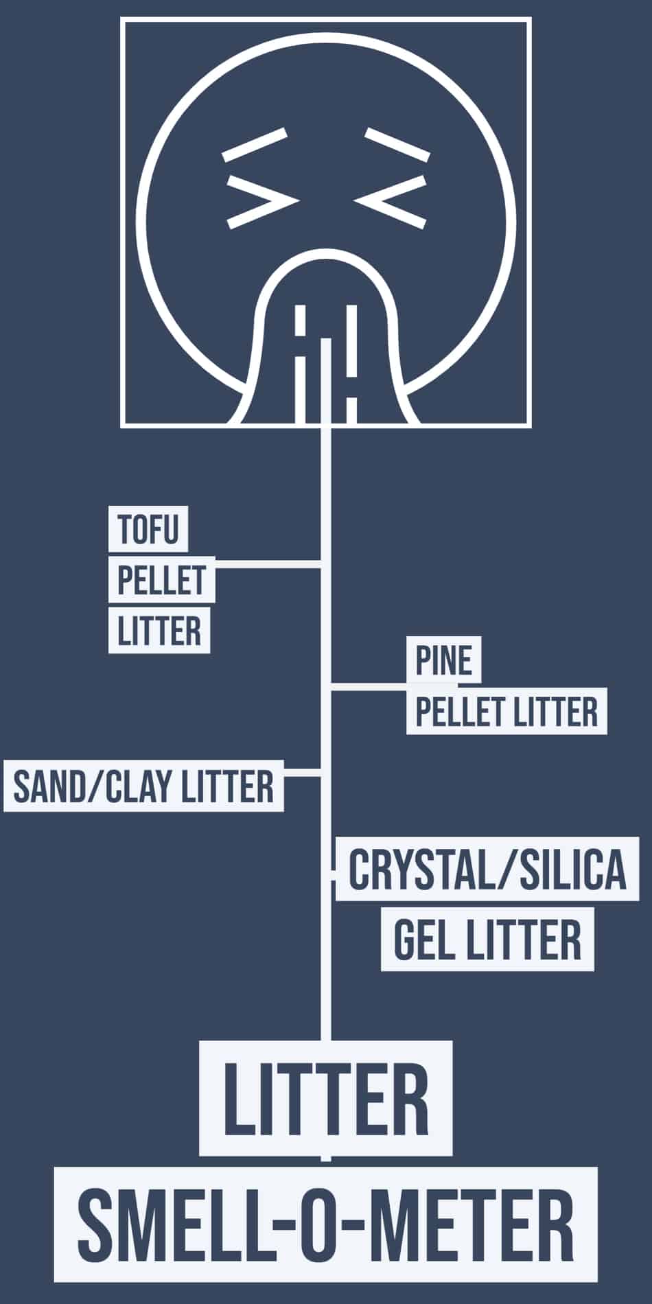 How to Control Cat Odor in an Apartment (Everything You Need to Know