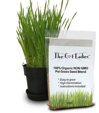 Organic Pet Grass Seed