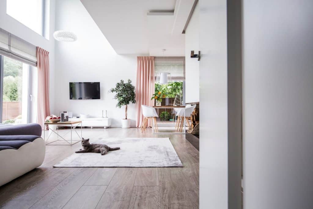 A very large apartment with a cat in the middle of the room.