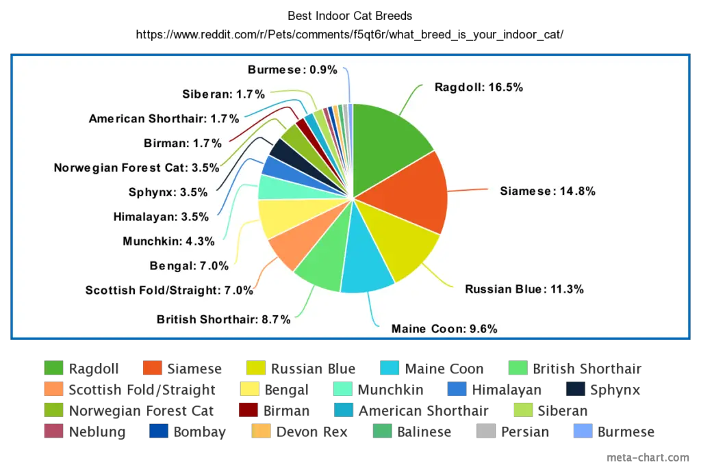 best indoor cat breeds reddit survey.