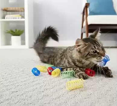 FRISCO Colorful Springs Cat Toy
