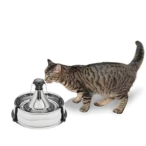PetSafe Stainless Steel Cat and Dog Water Fountain